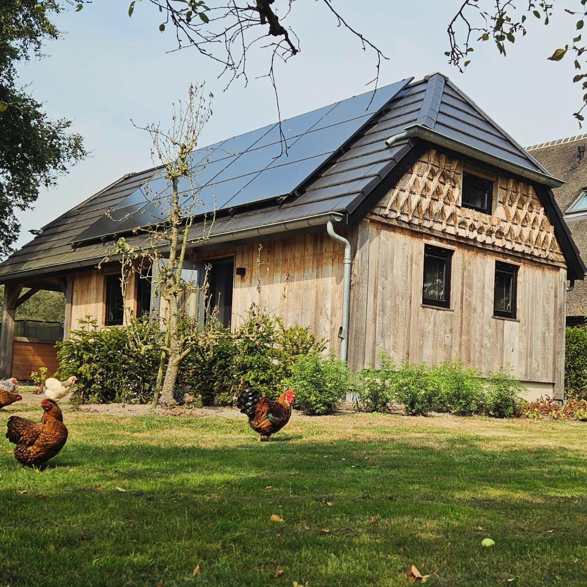 Villa Moi Meppen Exterior foto
